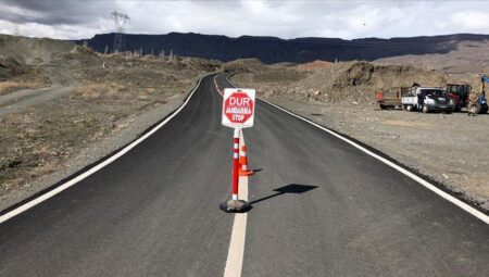 Muğla’da ‘mavi lisan hastalığı’ paniği! Karantina başladı