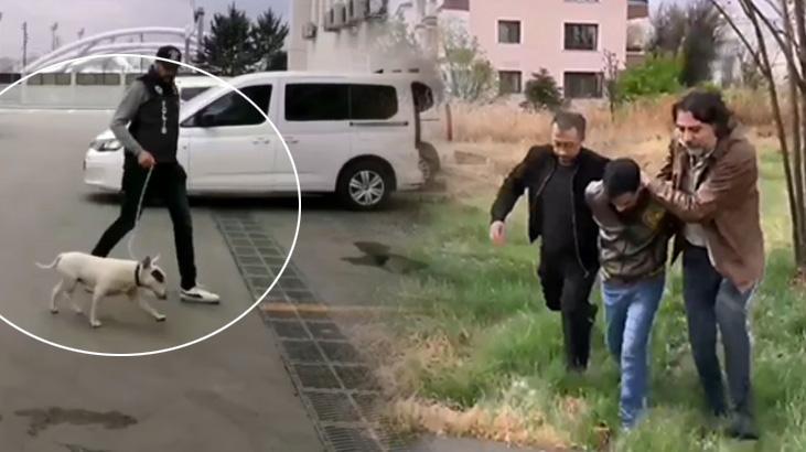 Türkiye’de yalnızca 30 var! 10 bin Euro’luk köpeği çalan şahıs yakalandı
