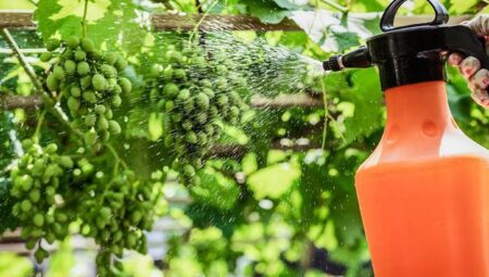 Dikkat eksikliğine yol açıyor! Sağlıklı beslenmenin görünmez tehdidi: Pestisit