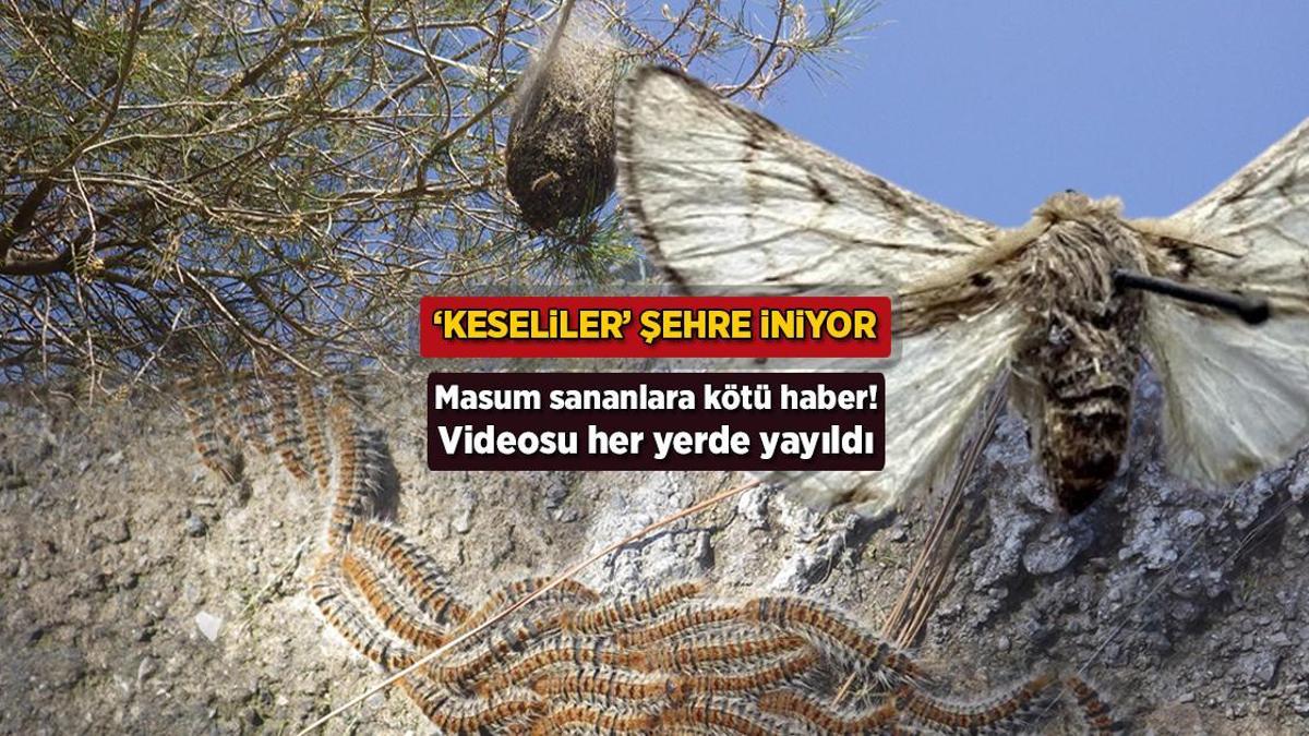 Görüntüsü her yerde yayıldı! Pak sananlara berbat haber: ‘Keseliler’ kente iniyor