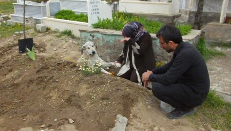 Herkes gitti bir tek o kaldı! ‘Gece gündüz mezarlıkta yatıyor’