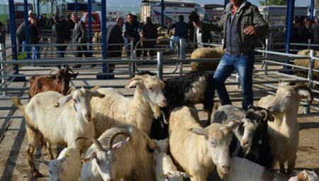 İlçede alarm! 15 mahallede karantina uygulaması başladı