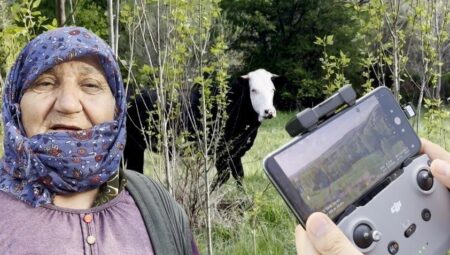 Kezban ninenin yardımına koştular! Kaçak düve dron ile bulundu