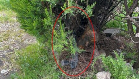 Okula çok yakın noktada! Çalılar budanınca ortaya çıktı, takımlar alarma geçti
