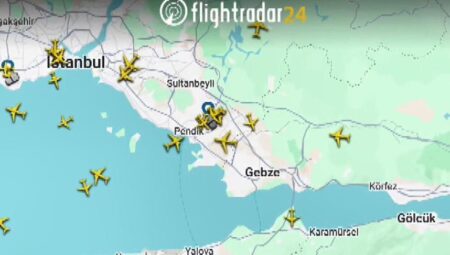 Sabiha Gökçen’de ördek alarmı! Pilot ile kule ortasında farklı diyalog