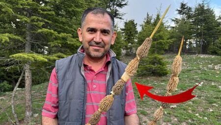 Tüm köy ihya oldu: Altın bulsak tahminen bu kadar sevinmeyiz