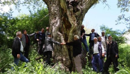 50 teneke hasar yapıldı, yedi kişi 7 kişi el ele tutuşup sarıldı: Hiç kurumaya niyeti yok