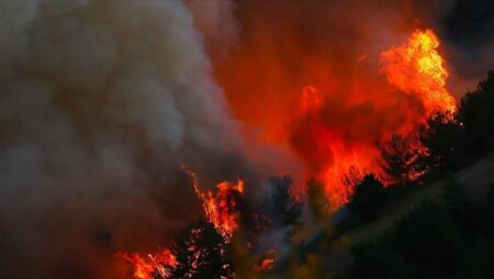 Ankara Valiliği orman yangınlarının önlenmesine dair alınan önlemleri açıkladı