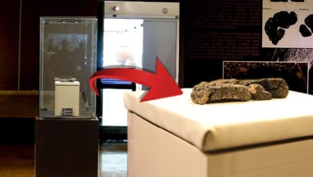Arkeologlar bile şaştı! Eskişehir’de 5 bin yıllık ekmek bulundu