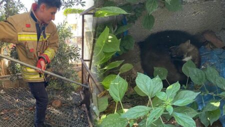 Bahçede gören yardıma koştu! Ava giderken ‘avlandı’
