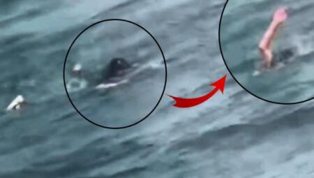 Bir anda vapurdan düştü! İstanbul’da gruplar 10 yaşındaki kız için seferber oldu