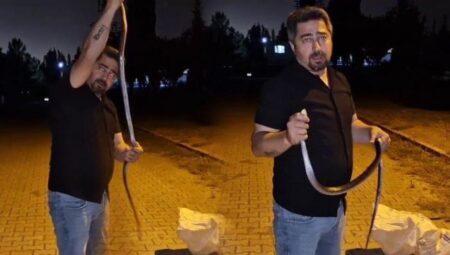 Çamaşır makinesinde yılan avı! Metrelerce uzunlukta, elleriyle çıkardı