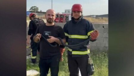 Dev panik! Yılanı gören telefona sarıldı, metrelerce uzunlukta…