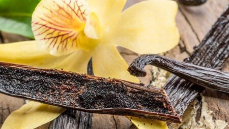 Dondurma ve muhallebiye tat vermekten çok daha fazlası! Gerilim azaltıyor, sindirime yardımcı oluyor