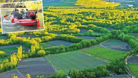 Dünya mirasına zehir ektiler! Hevsel Bahçeleri’ne 2 milyar TL’lik kenevir ekmişler