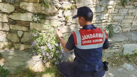 Dünyada yalnızca Türkiye’de bulunuyor! Jandarma başından ayrılmıyor