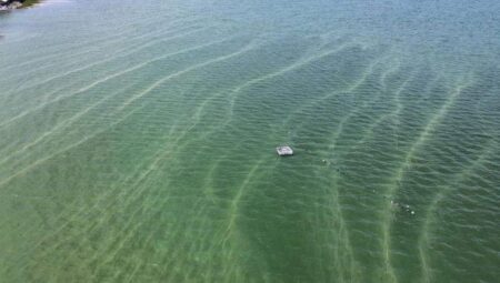 İznik Gölü’nde endişelendiren görüntü! ‘Renkten renge girmeye başladı’
