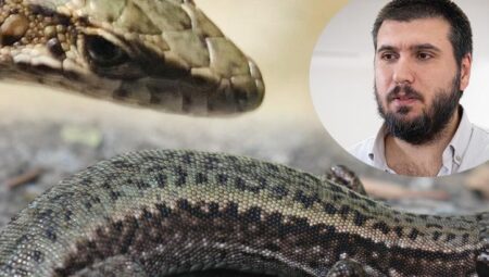 Kaçkar Dağları’nda keşfedildi: Dünya için yeni bir çeşit