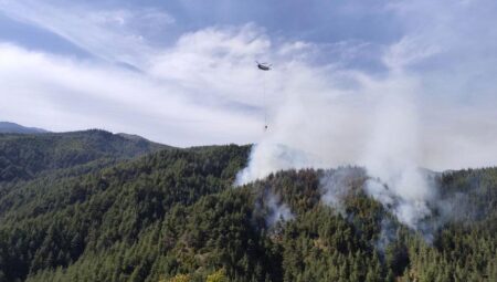 Kahramanmaraş’ta orman yangını! Gruplar harekete geçti