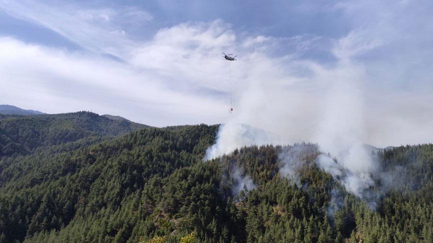 Kahramanmaraş’ta orman yangını! Gruplar harekete geçti