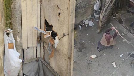 Kaygı dolu anlar! Hudut krizi geçirip kürekle saldırdı