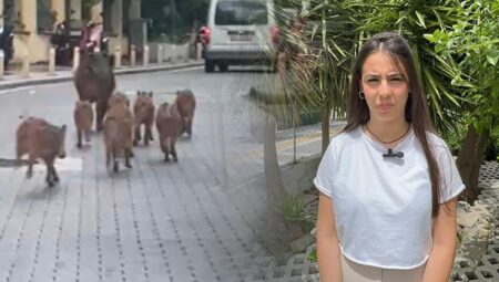 Marmaris’i istila ettiler: Kent karantinaya alınabilir, giriş çıkışlar kapatılabilir