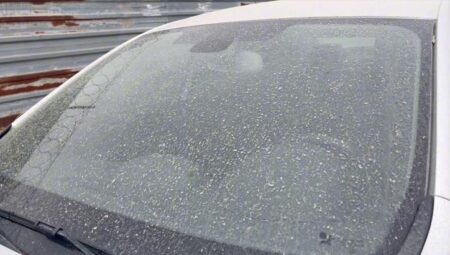 Meteoroloji uyarmıştı! İstanbul’a çamur yağdı