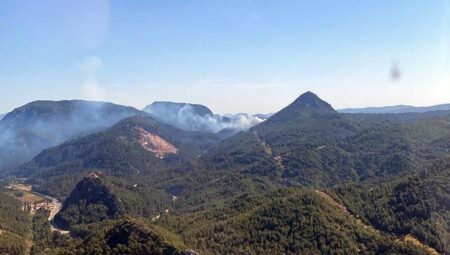 Muğla’nın Marmaris ilçesinde orman yangını