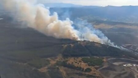 Son dakika: İzmir Aliağa’da orman yangını
