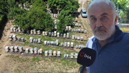 30 sene evvel hobi olarak başladı, artık paraya para demiyor! ‘Buranın etrafı çok verimli’