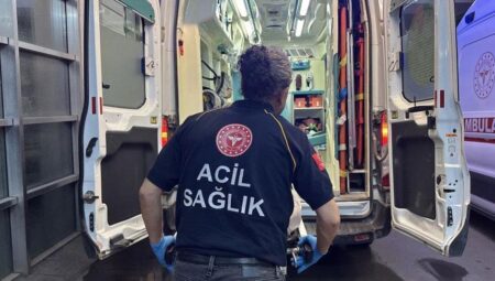 Adıyaman’da yılanın ısırdığı kişi hastaneye kaldırıldı