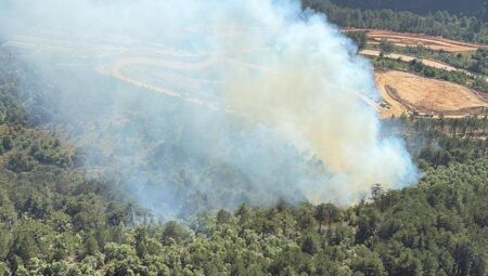 Balıkesir’de orman yangını! Takımlar müdahale ediyor