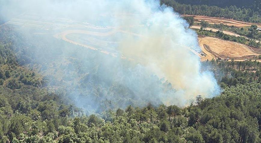 Balıkesir’de orman yangını! Takımlar müdahale ediyor