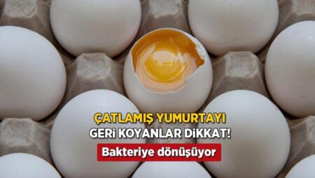 Çatlamış yumurta en tehlikelisi! Rafa asla değdirmeyin, sonu berbat bitiyor