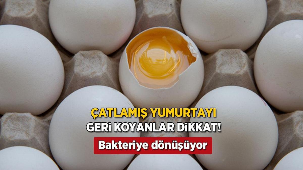 Çatlamış yumurta en tehlikelisi! Rafa asla değdirmeyin, sonu berbat bitiyor