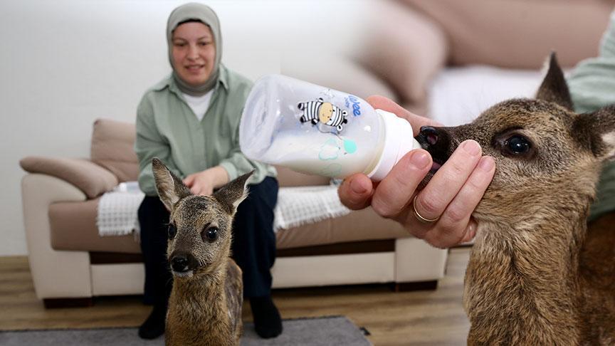 Elleriyle besliyor, çocuğu üzere bakıyor! ‘Anne sütü ısısına gelene kadar bekletiyorum’