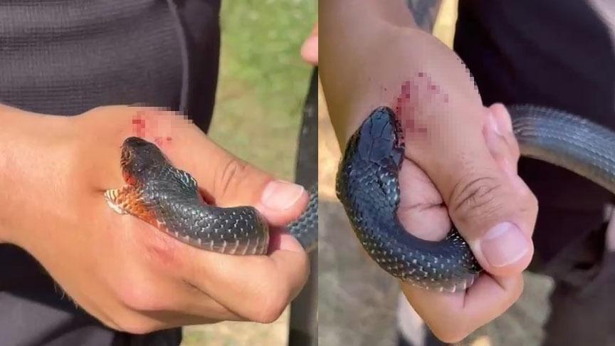 Hatay’da şoke eden olay! ‘Zararsız, öldürmeyin’ dediği yılan tarafından ısırıldı