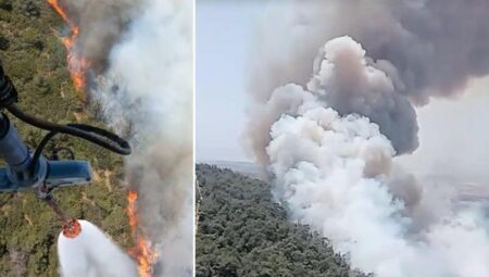 İzmir’de orman yangını! Havadan karadan müdahale