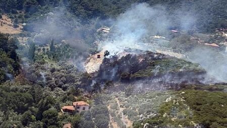 İzmir’de orman yangını! Takımlar sevk edildi