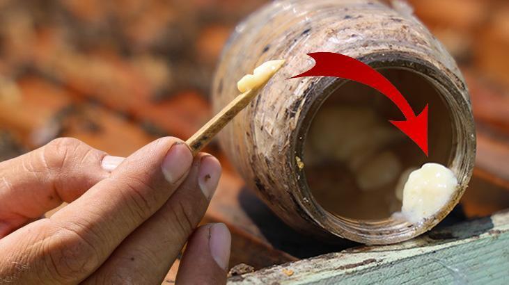 ‘Kanserin şifası’ diye biliniyor! Kilosu 45 bin lira