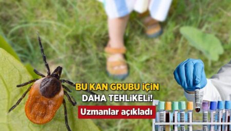 Keneler bu kan kümesine bayılıyor! Uzmanlar uyardı: ‘Görmezden gelmeyin’