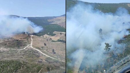 Manisa’da orman yangını! Havadan ve karadan müdahale ediyor