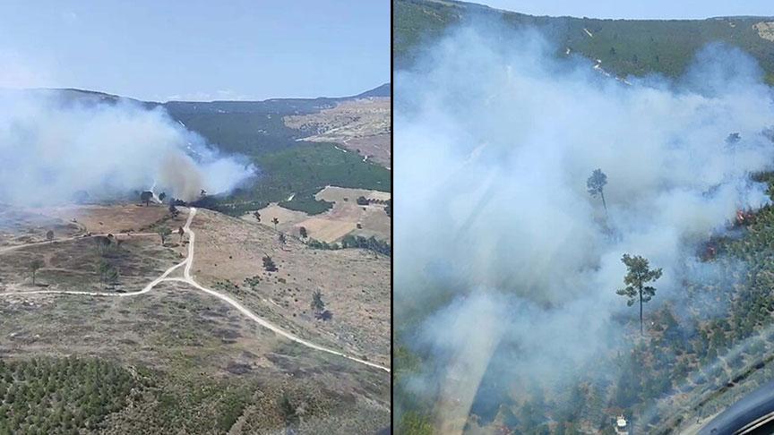 Manisa’da orman yangını! Havadan ve karadan müdahale ediyor