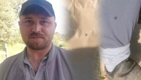 Onlarcası etrafını sardı! Kentte kabus: Köpekler üzere koku alıp üzerimize geliyorlar
