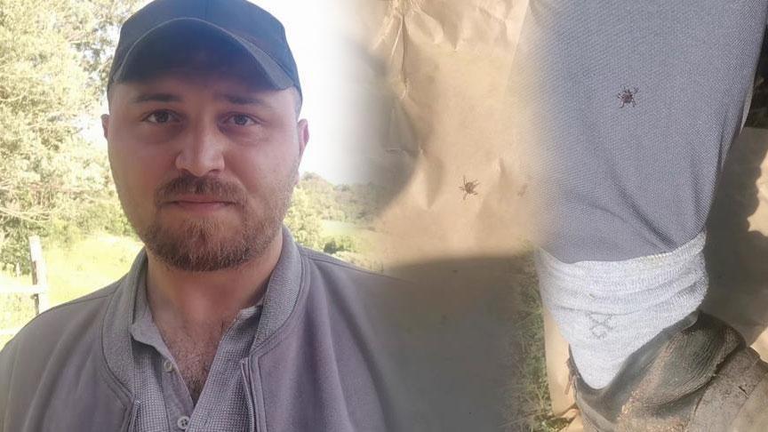 Onlarcası etrafını sardı! Kentte kabus: Köpekler üzere koku alıp üzerimize geliyorlar
