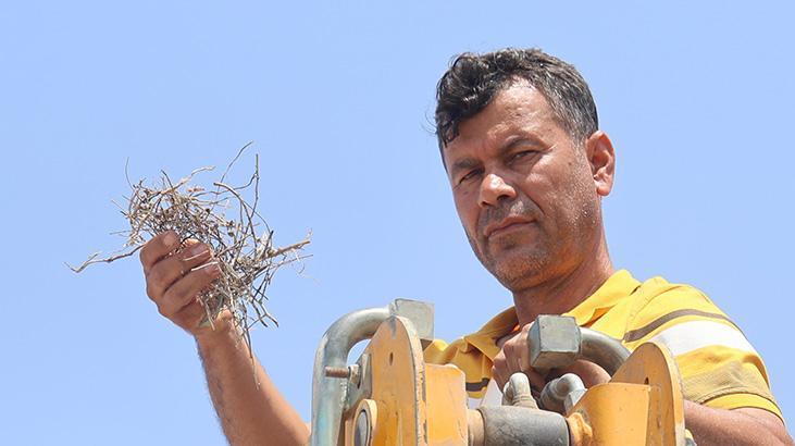 Parayı değil ‘merhameti’ seçti: Sonuna kadar bekledik ve güzeli oldu