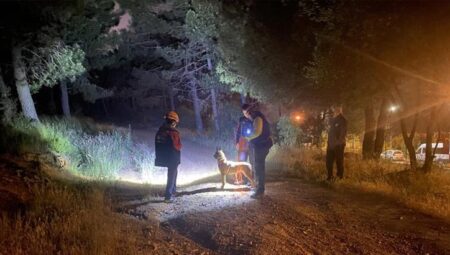 Pendik’te ormana girdi ve akabinde kayboldu! Gruplar harekete geçti