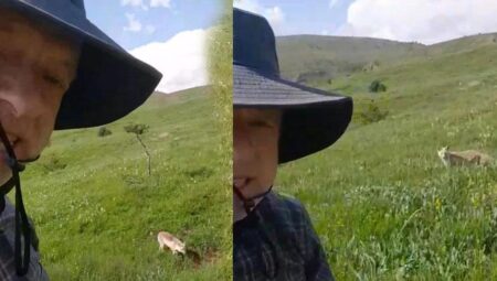 Sıra dışı anlar! Mantar toplamaya çıktı şaşkına döndü
