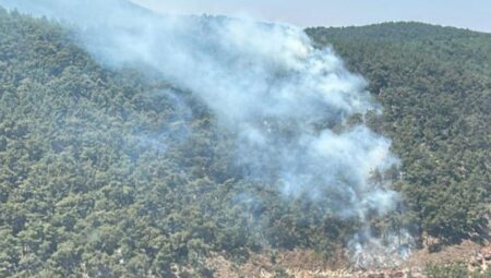 Son dakika… Türkiye alev alev! 4 vilayette orman yangını: Müdahale devam ediyor