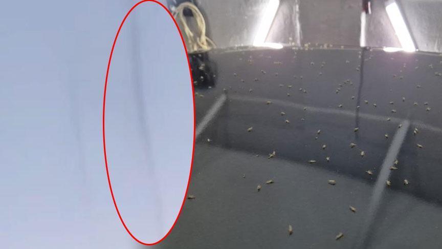 Tekirdağ’da kokutan manzara! ‘Herkes ışıkları kapatıyor, terk edilmiş kent üzere oldu’